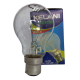 7W  Clear Glass Bulb - Incandescent