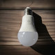 12W LED House Bulb Daylight E27 | Dimo