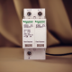 DC Surge Protection Device (SPD)