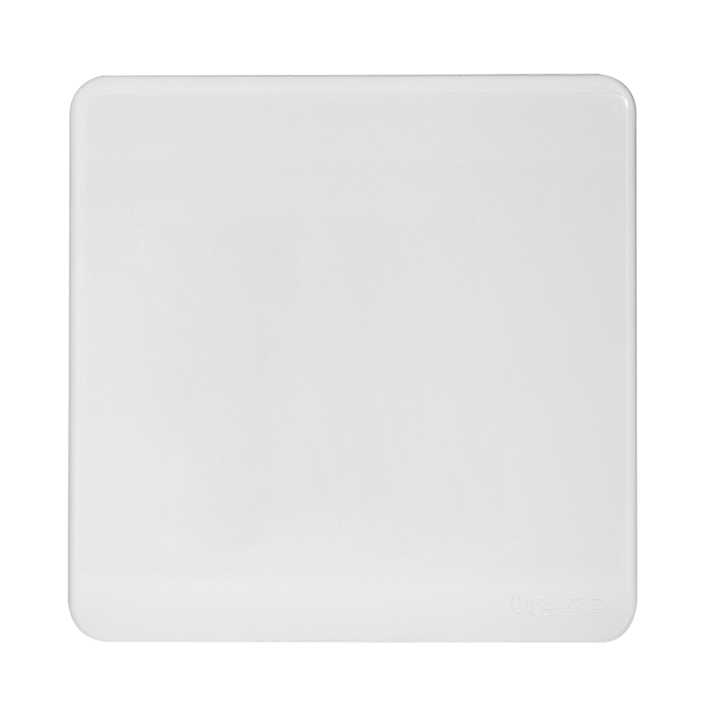SCINTILLA Blank Plate with Removable Plug White with White Surround