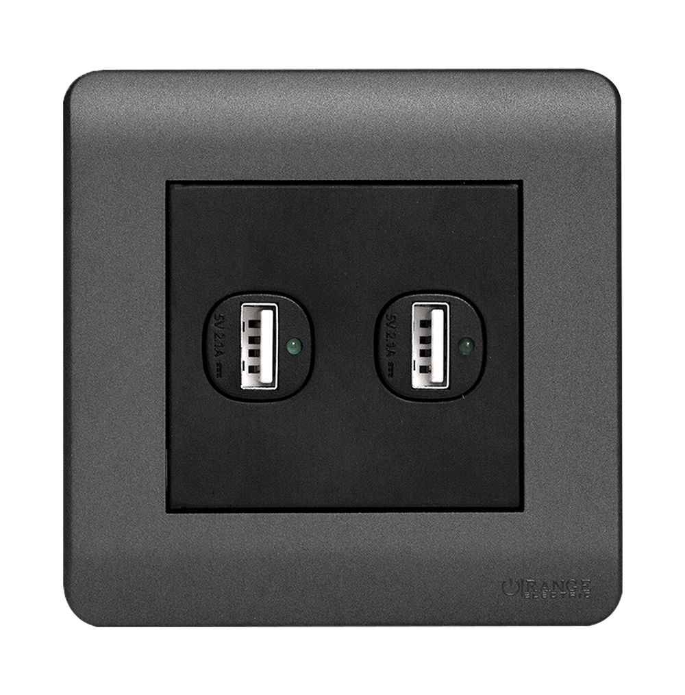 SCINTILLA 2.1Amp. 2Gang Type-A USB Charger Outlet B/Matte with GM/Matte Surround