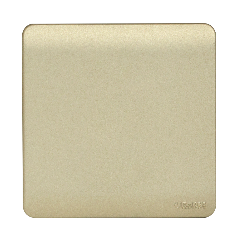 SCINTILLA Blank Plate with Removable Plug B/Matte with Gld/Matte Surround