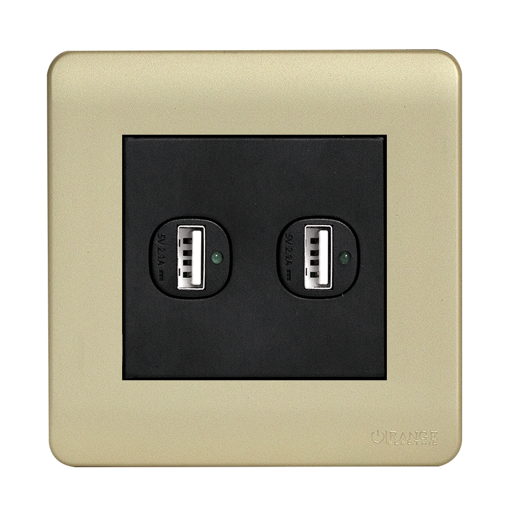 SCINTILLA 2.1Amp. 2Gang Type-A USB Charger Outlet B/Matte with Gld/Matte Surround