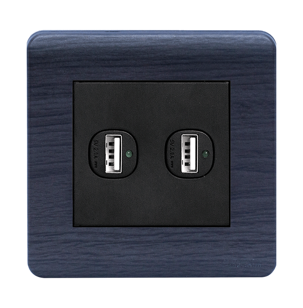 SCINTILLA 2.1Amp. 2Gang Type-A USB Charger Outlet B/Matte with Kaluwara Surround