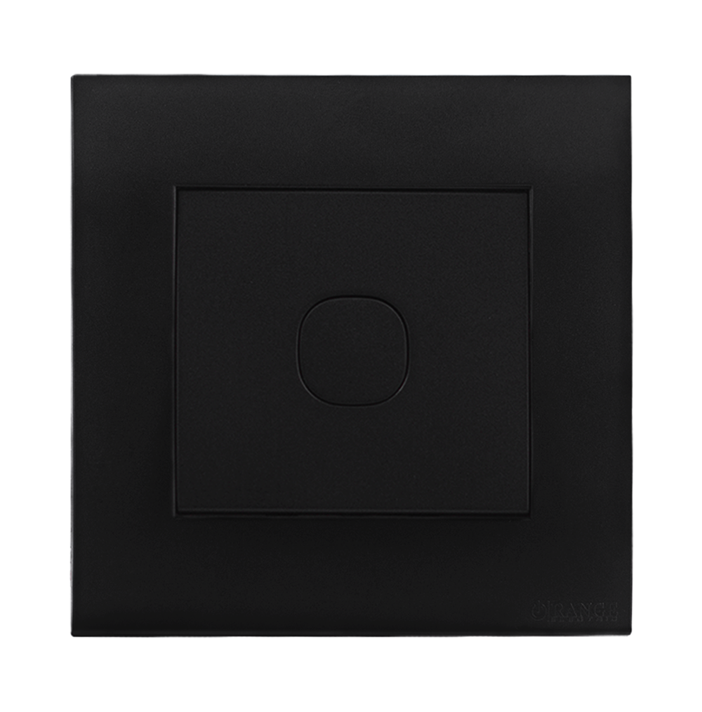 AKOYA Blank Plate with Removable Plug B/Matte with B/Matte Surround