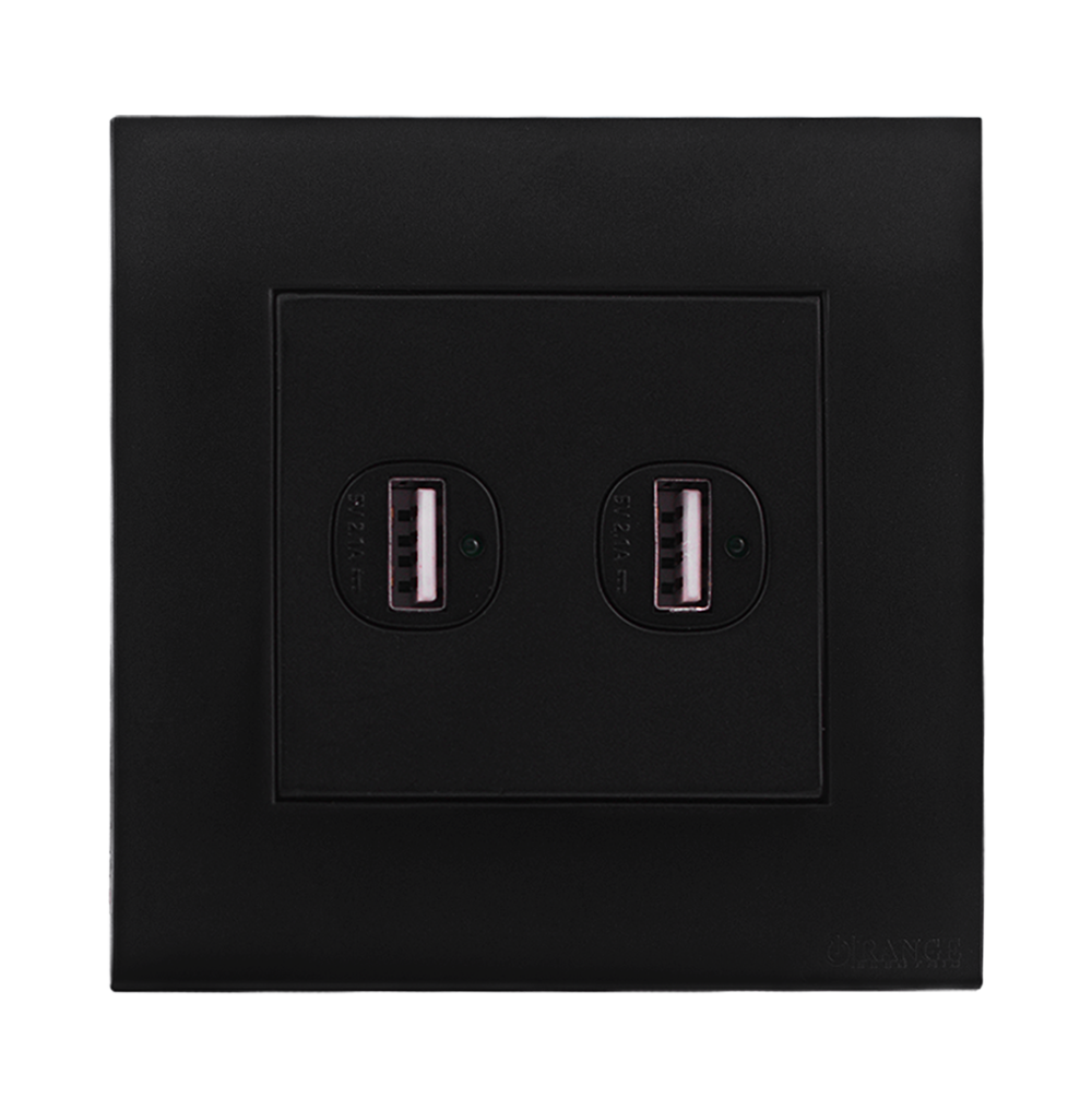AKOYA 2.1Amp. 2Gang Type-A USB Charger Outlet B/Matte with B/Matte Surround