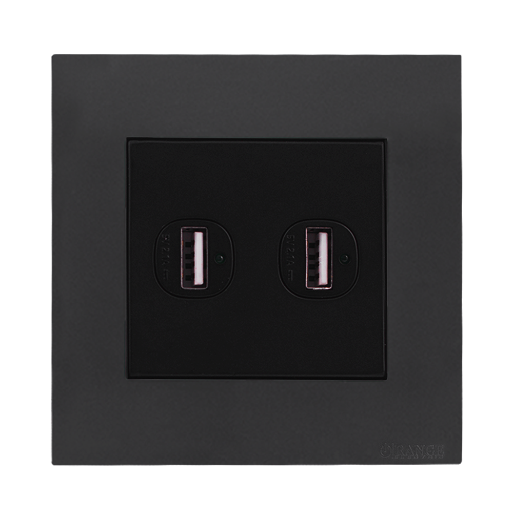 AKOYA 2.1Amp. 2Gang Type-A USB Charger Outlet B/Matte with GM/Matte Surround