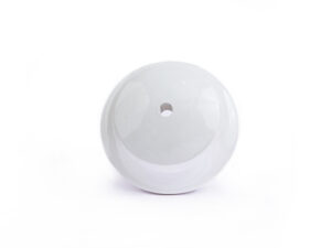 Ceiling Rose – 2 Terminals
