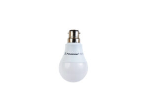 House Bulb – Warm White