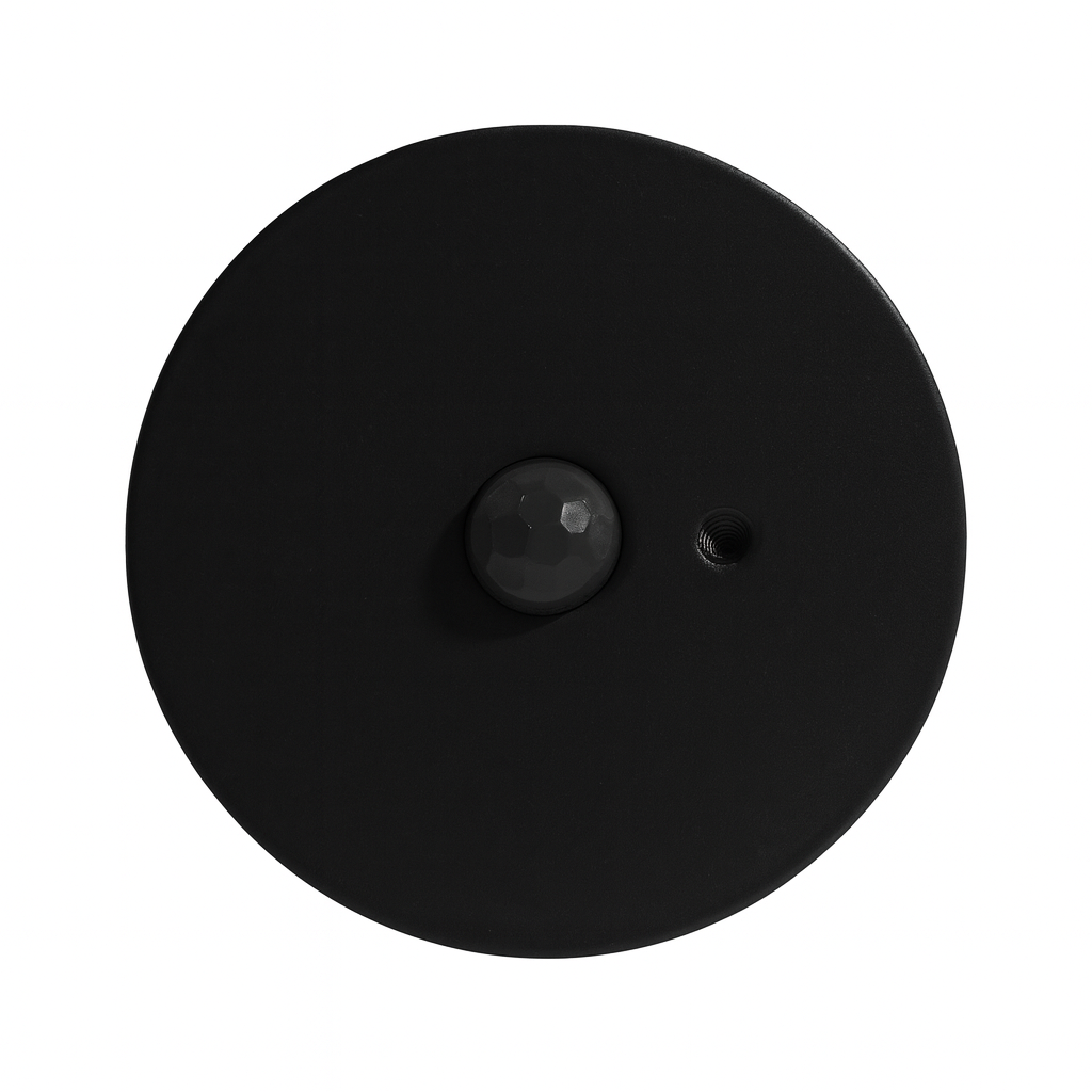 Black motion & Light sensor in black metal housing